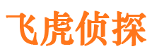 泗阳侦探